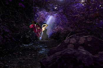 Forest Butterfly Fairy, fairy, butterfly, fantasy, forest HD wallpaper