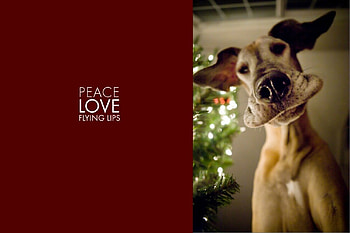 Flying lips, dog, craciun, christmas, red, card, lips, funny, caine HD wallpaper