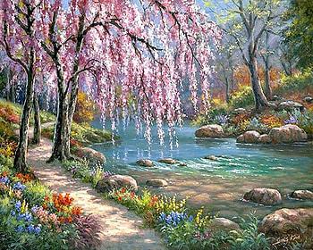 springtime, fruehling, garden, pink HD wallpaper