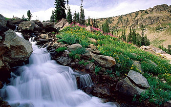 Waterfall in spring, rocks, river, clouds, cascades, trees, sky HD wallpaper