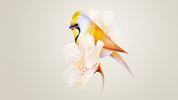 Bird Sitting On Flower Minimal, birds, ai, artist, artwork, digital-art HD wallpaper