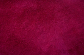 Red Smooth Fur Texture Abstract , fur, texture, abstract, red HD wallpaper