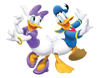 Donald Duck, Daisy Duck, Dance, Walt Disney characters HD wallpaper