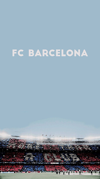 Camp Nou Stadium, Barcelona, Football culture, Bara fan HD phone wallpaper