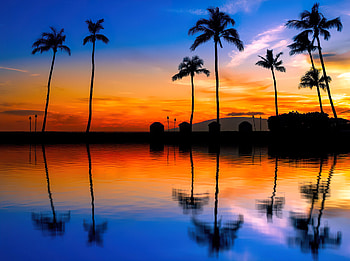 Blue orange sunset with palm trees, palms, blue, sea, tropical, beautiful, orange, fiery, summer, reflection, trees, water, sunset, ocean HD wallpaper
