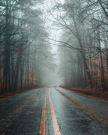 Nature, Autumn, Road, Markup, Forest, Fog, Asphalt HD phone wallpaper