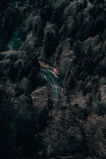 Nature, Trees, View From Above, Road, Forest HD phone wallpaper