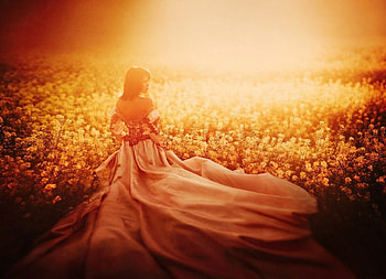 lady, model, graphy, beauty HD wallpaper