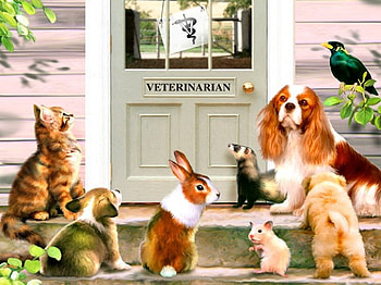 By Howard Robinson, animal, bird, art, health, howard robinson, bunny, veterinarian, painting, door HD wallpaper