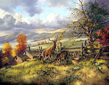 deers on the farm, natur, farm, deers, country HD wallpaper