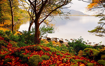 Autumn lake, Lake, Forest, Trees, Mountain HD wallpaper