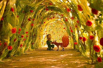 The Little Prince and the Fox, The Little Prince HD wallpaper