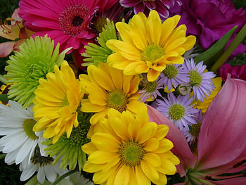 Flowers, Chrysanthemum, Gerberas, Bright, Close-Up, Bouquet, Colourful, Colorful HD wallpaper