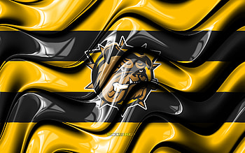 Hamilton Bulldogs flag, , yellow and black 3D waves, OHL, canadian hockey team, Hamilton Bulldogs logo, hockey, Hamilton Bulldogs, Canada HD wallpaper