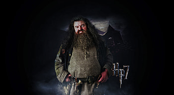 Hagrid movie, Quiz challenge, Harry Potter fans, Fun trivia HD wallpaper