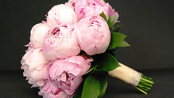 Especially in May, design, peonies, floral, fresh, bloom, may, pink, light, love, forever HD wallpaper