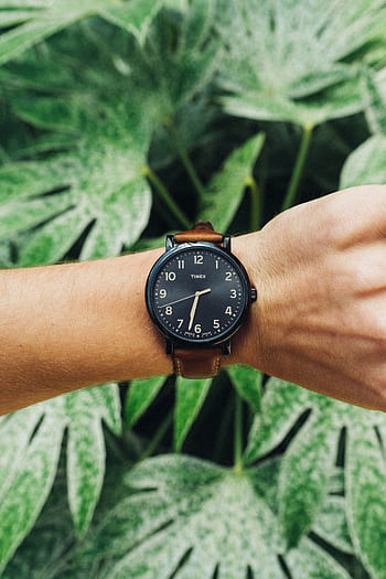 Man's wrist wearing a stylish watch in front of lush green foliage showcasing nature. HD phone wallpaper