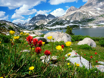 Spring in the mountain, river, snowy, landscape, meadow, beautiful, spring, rocks, stones, mountain, lake, wildflowers, cliffs, flowers, sky, peak, lovely HD wallpaper