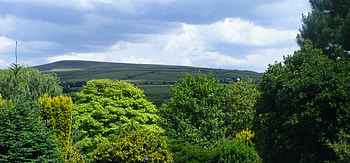 green & pleasent, trees, hills, green, countryside HD wallpaper