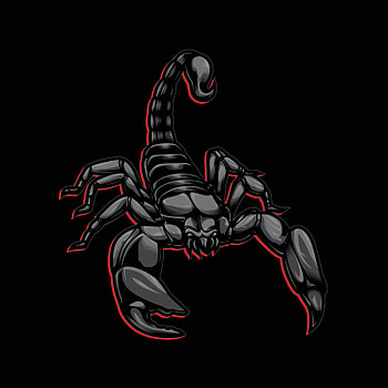 The scorpion vector, Striking artwork, Intricate design, Digital illustration HD phone wallpaper