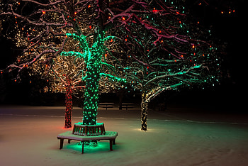 Nature, Night, Lights, Wood, Tree, Christmas, Decoration HD wallpaper