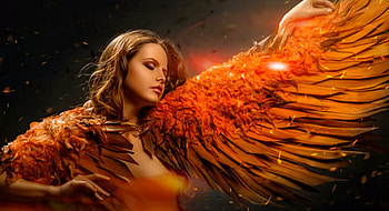 angel, wings, orange, fantasy HD wallpaper