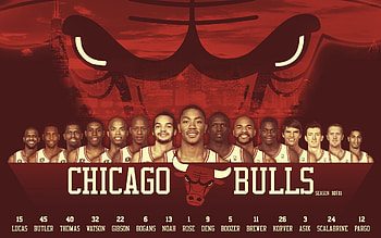 Poster, Chicago Bulls HD wallpaper