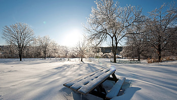Beautiful Winter Scenery Snow Covered Trees Sunlight Blue Sky Winter HD wallpaper
