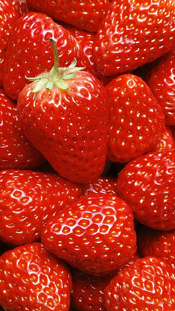 Juicy fruits, Vibrant , Fresh graphy, Fruit inspiration HD phone wallpaper