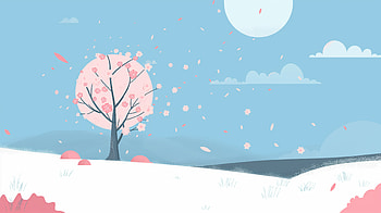 Cherry Blossom Serenity, spring, cherry blossom HD wallpaper
