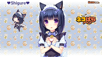 Nekopara s HD wallpaper
