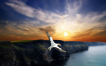 Nature, Sunset, Mountains, Bird, Flight, Evening, Wings HD wallpaper
