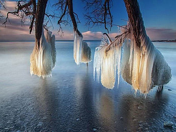 Deep ze, winter, branches, water, ice HD wallpaper