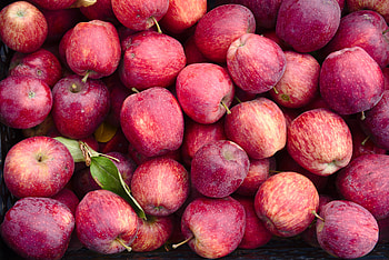 Food, Apples, Fruit, Harvest HD wallpaper