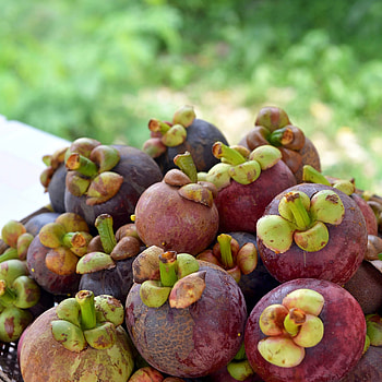 Mangosteen, Grapefruit scent, Soy candle, Aromatherapy HD phone wallpaper