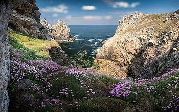 Pointe de Penhir - Brittany, sky, flowers, ocean, britain HD wallpaper