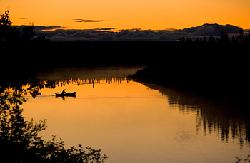 Sunset, Bush, Lake, Dark, Silhouette, Boat HD wallpaper