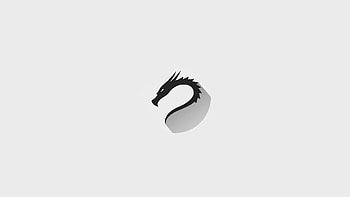 Kali Linux White, Linux, technology, Kali Linux HD wallpaper
