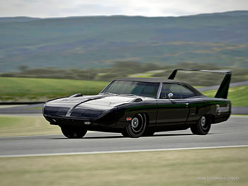 Plymouth super bird, black, 09, bird, 2011, car, 05, super HD wallpaper