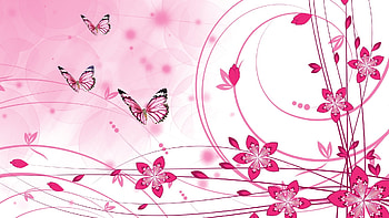 Pink Color Pink color HD wallpaper
