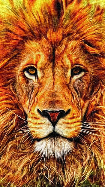 Fire Lion, Portrait, Sketch, lion HD phone wallpaper