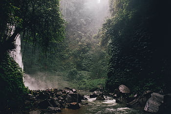 Serene jungle scene in Bali with a stunning waterfall and vibrant greenery. HD wallpaper