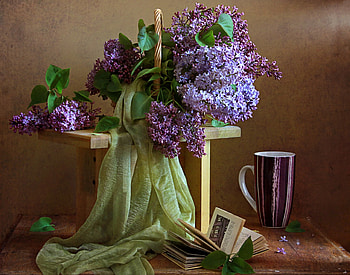 Still Life, purple, nature, flowers, cup, lilac HD wallpaper