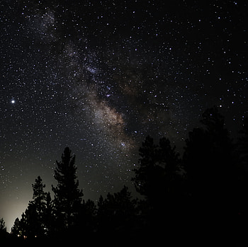 Nature, Trees, Stars, Starry Sky, Nebula HD wallpaper