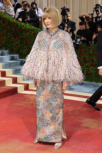 Anna Wintour, Met Gala planning, Fashion event, Wintour's preparations HD phone wallpaper