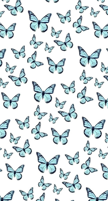 Butterfly, aqua, product HD phone wallpaper