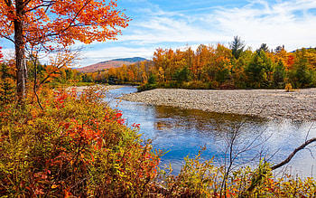 White Mountain National Forest, New Hampshire, river, leaves, fall, clouds, trees, sky, water, reflections, usa HD wallpaper