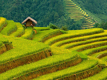Cascade mountain, green, house, beautiful, nature, cottage, cascade, mountain HD wallpaper