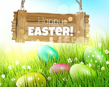 Happy Easter, grass, flowers, Easter, eggs HD wallpaper
