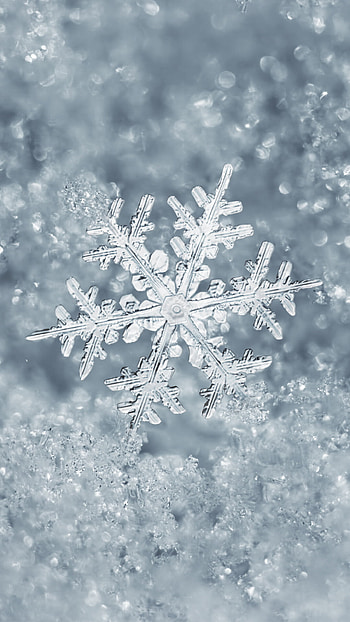 Winter, , Winter vibes, Chilly season HD phone wallpaper